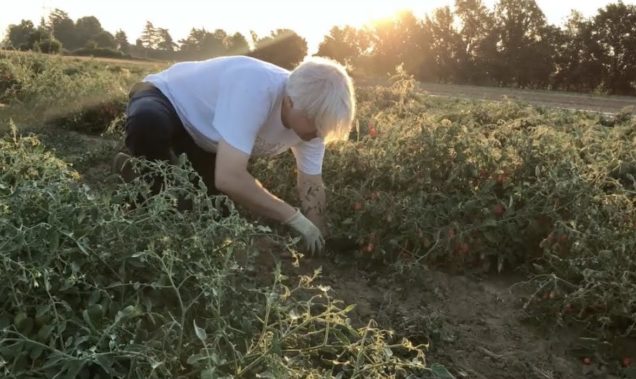 Federico Casotto working for agri fitness