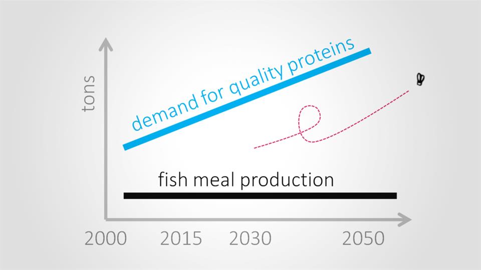 Fly2050 Grafico Fishmeal Original